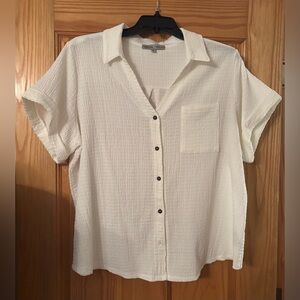 Absolutely Famous, Sz 3X, OffWhite Button-Up Short Sleeve Blouse, NWOT
